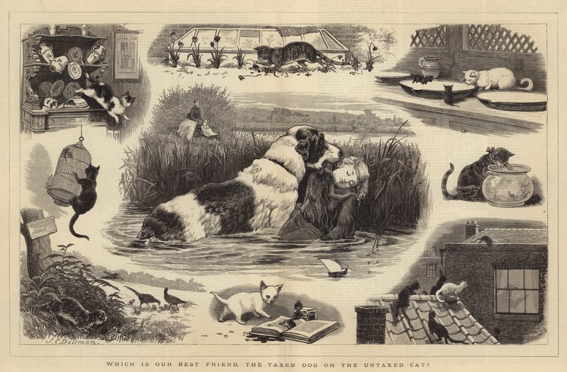 ¿Cuál es nuestro mejor amigo, el perro gravado o el gato no gravado? de John Charles Dollman