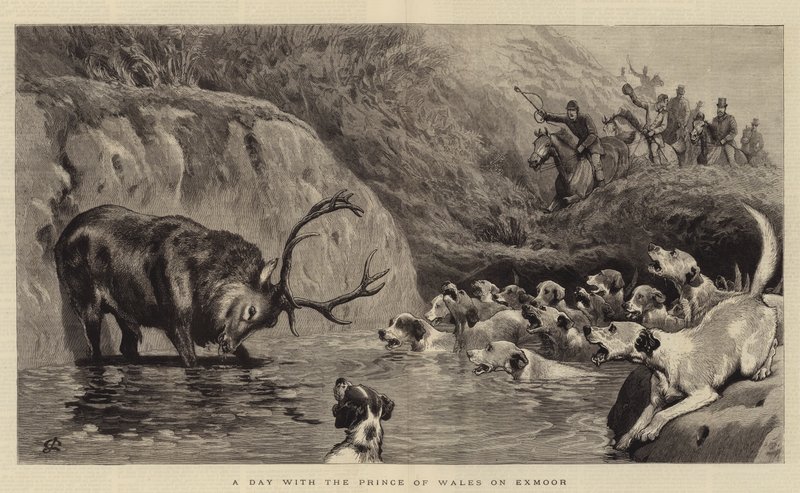 Un día con el Príncipe de Gales en Exmoor de John Charlton