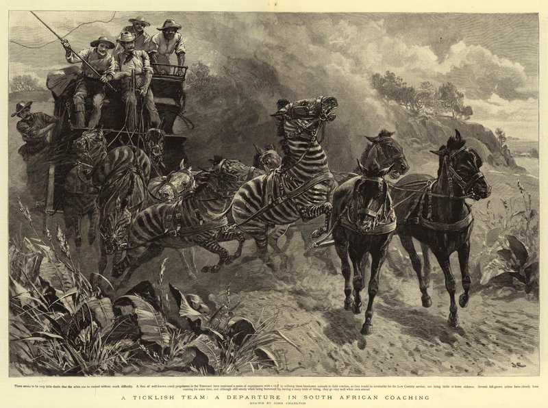 Un Equipo Delicado, Una Partida en el Transporte Sudafricano de John Charlton