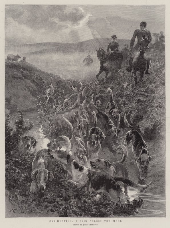 Caza de cachorros, un paseo por el páramo de John Charlton