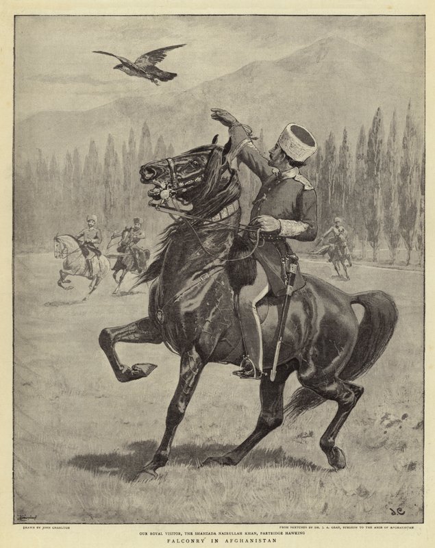 Cetrería en Afganistán de John Charlton