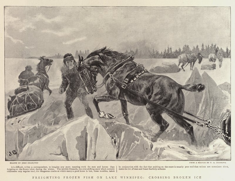 Transportando pescado congelado en el lago Winnipeg, cruzando hielo roto de John Charlton