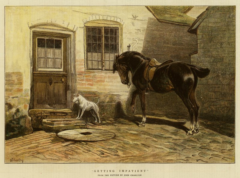 Impacientándose de John Charlton