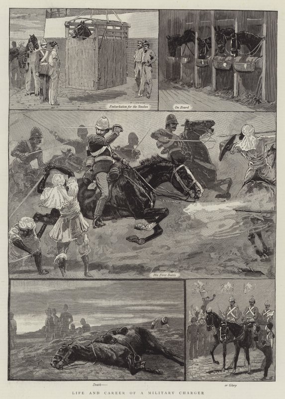 Vida y Carrera de un Caballo Militar de John Charlton