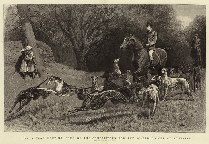 La reunión de Altcar, algunos de los competidores por la Copa Waterloo en ejercicio de John Charlton