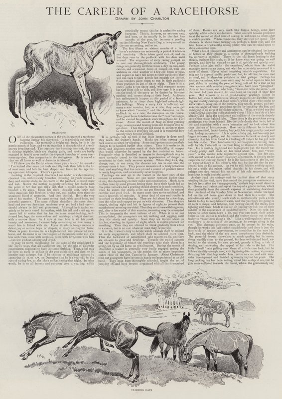 La carrera de un caballo de carreras de John Charlton