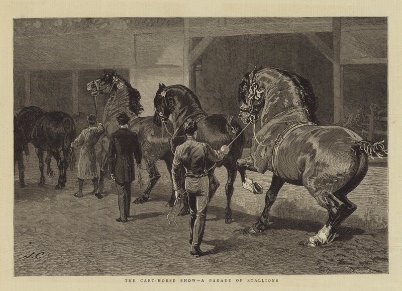 El espectáculo del caballo de tiro, un desfile de sementales de John Charlton