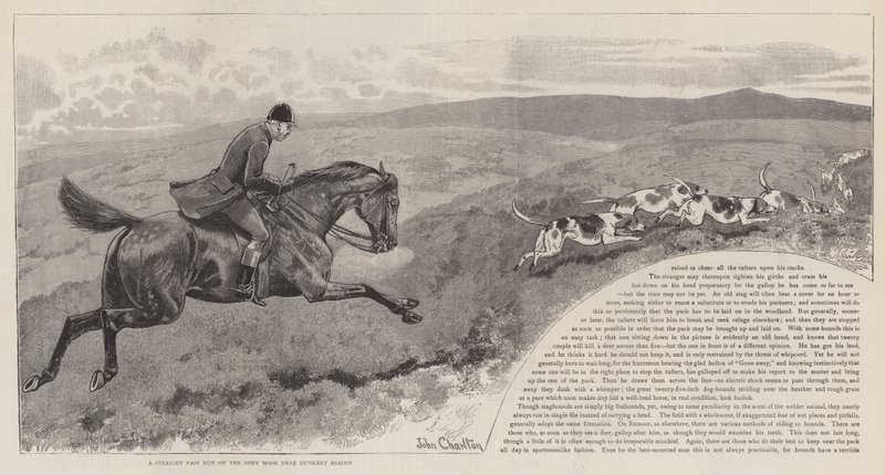 La caza del ciervo rojo salvaje en Exmoor de John Charlton
