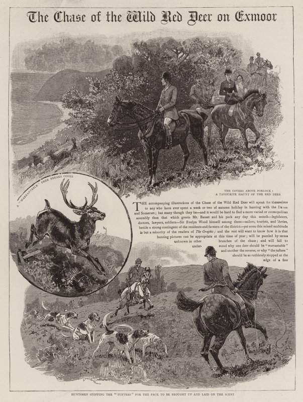 La caza del ciervo rojo salvaje en Exmoor de John Charlton