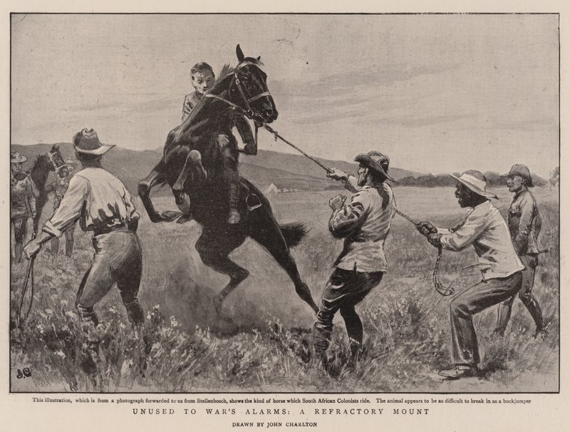 No acostumbrado a las alarmas de la guerra, un monte rebelde de John Charlton