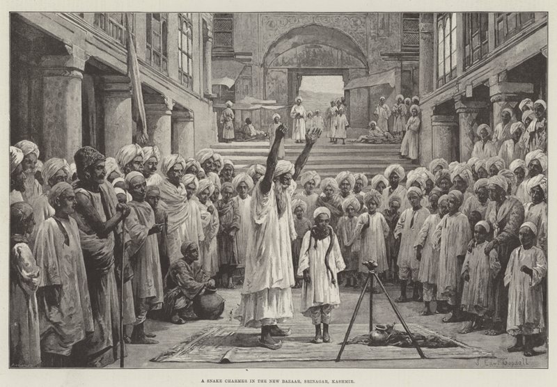 Un encantador de serpientes en el nuevo bazar, Srinagar, Cachemira de John Edward Goodall