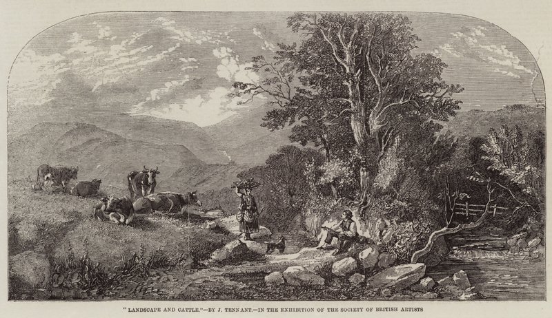 Paisaje y ganado de John F. Tennant