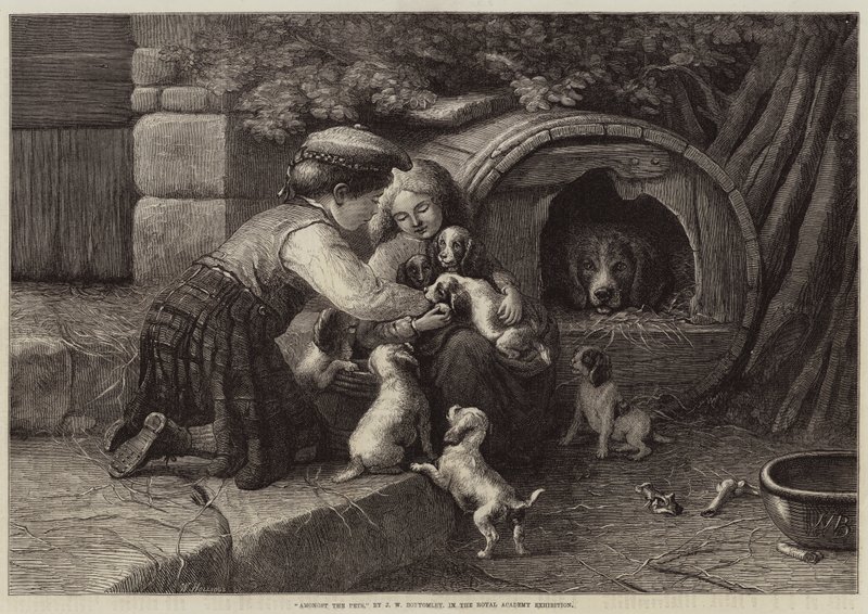 Entre las mascotas de John William Bottomley