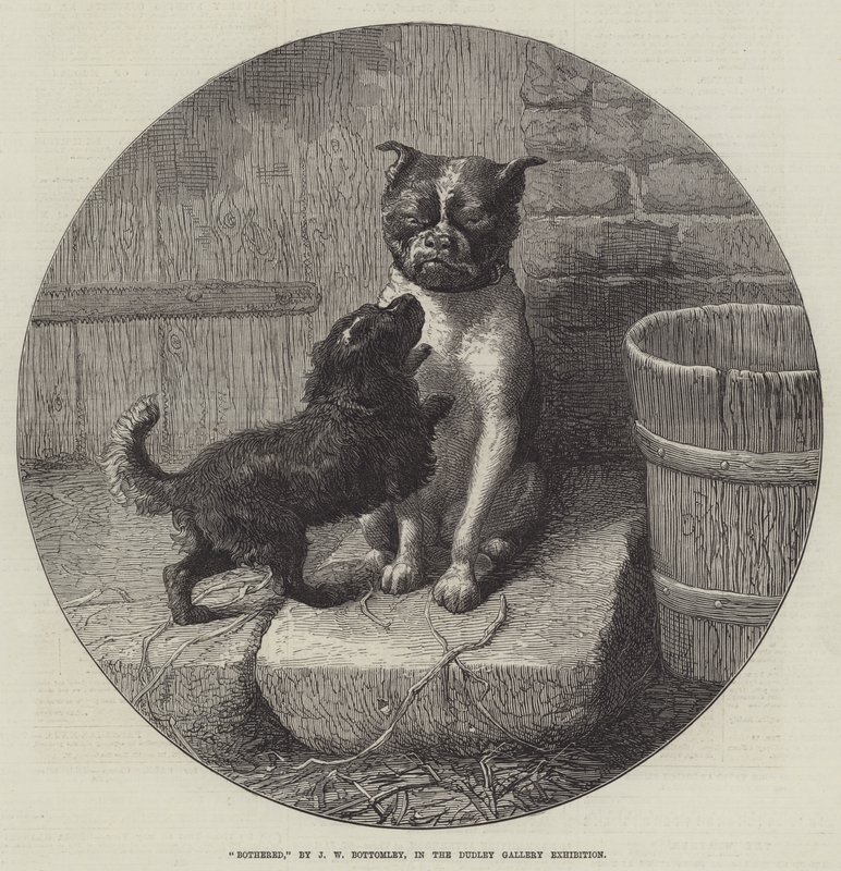 Molesto de John William Bottomley