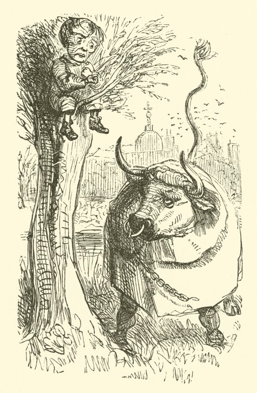 Toro y niño (grabado) de John (after) Leech