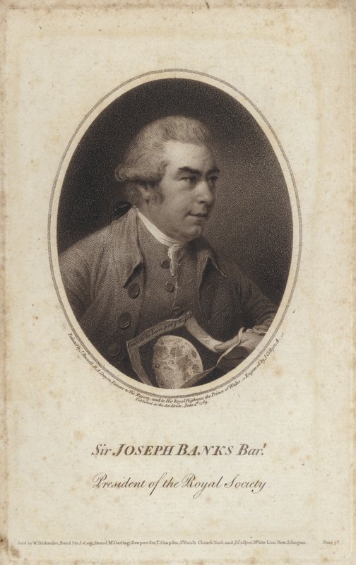 Sir Joseph Banks, naturalista, botánico y presidente de la Royal Society inglés de John (after) Russell