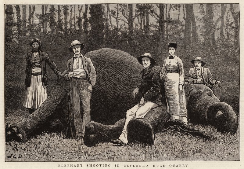 Caza de elefantes en Ceilán, una enorme cantera de John Charles Dollman