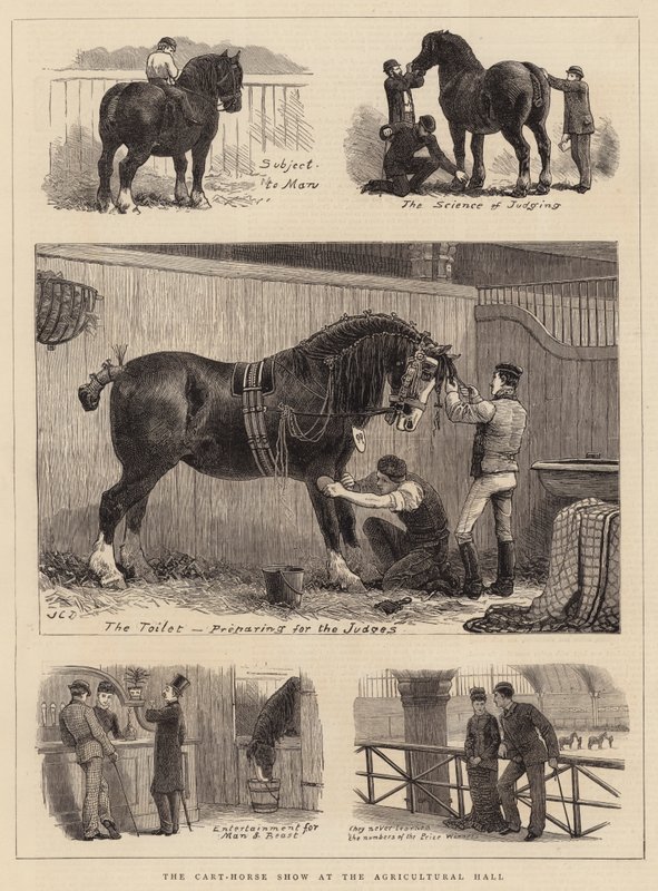 La Exposición de Caballos de Tiro en el Salón Agrícola de John Charles Dollman