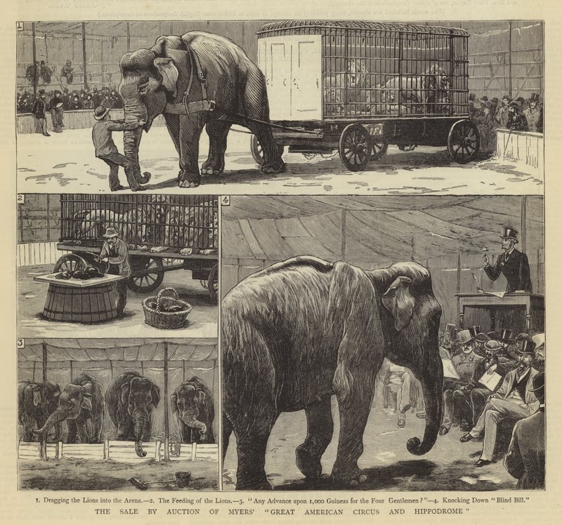 La venta por subasta del Gran Circo y el Hipódromo Americano de Myers de John Charles Dollman