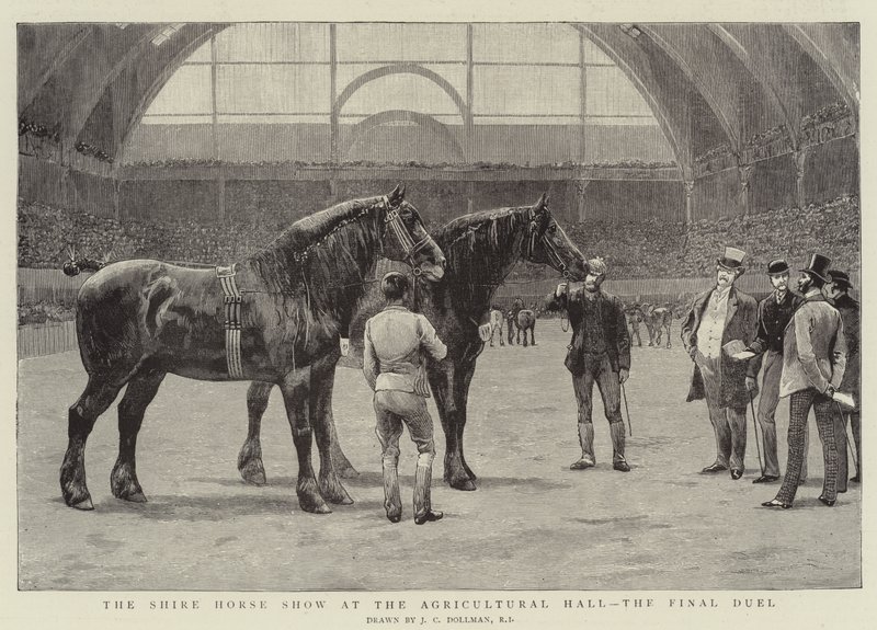 Exposición de caballos Shire en el Salón Agrícola, el duelo final de John Charles Dollman