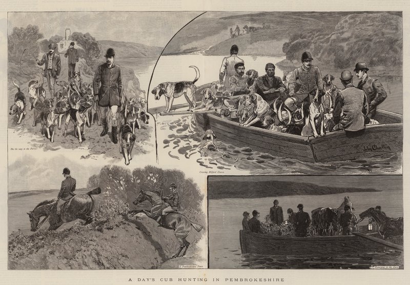 Un día de caza de cachorros en Pembrokeshire de John Charlton