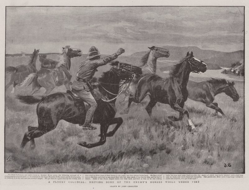 Un colono valiente, conduciendo algunos de los caballos del enemigo bajo fuego de John Charlton