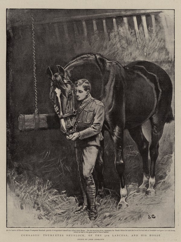 Camaradas, el trompetista Shurlock, de los 5º Lanceros, y su caballo de John Charlton