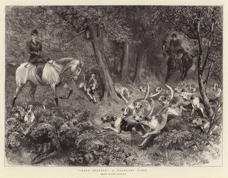 Bajo presión, una escena en el bosque de John Charlton
