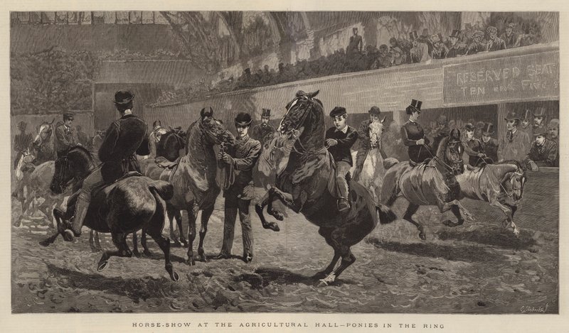 Exposición de caballos en el Salón Agrícola, ponis en el anillo de John Charlton
