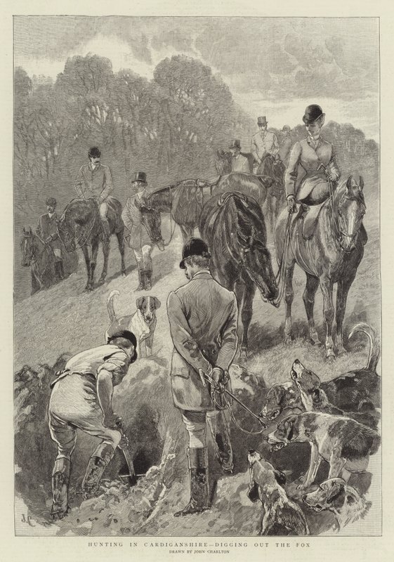 Caza en Cardiganshire, desenterrando al Zorro de John Charlton