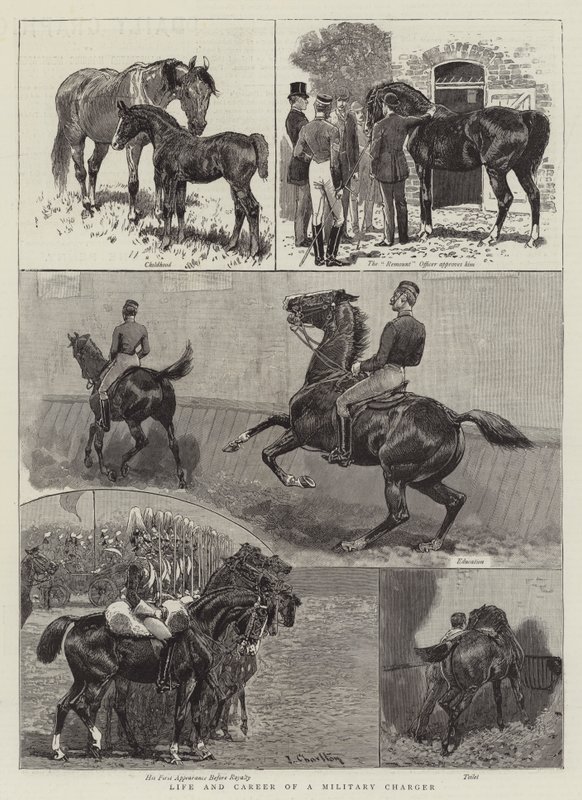 Vida y carrera de un cargador militar de John Charlton
