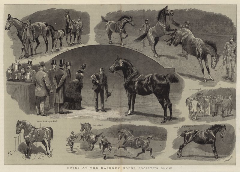 Notas en la exposición de la Sociedad de Caballos de Hackney de John Charlton