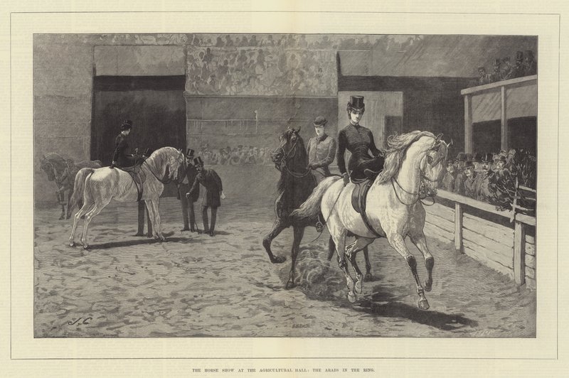 El espectáculo ecuestre en el Salón de Agricultura, los árabes en el anillo de John Charlton