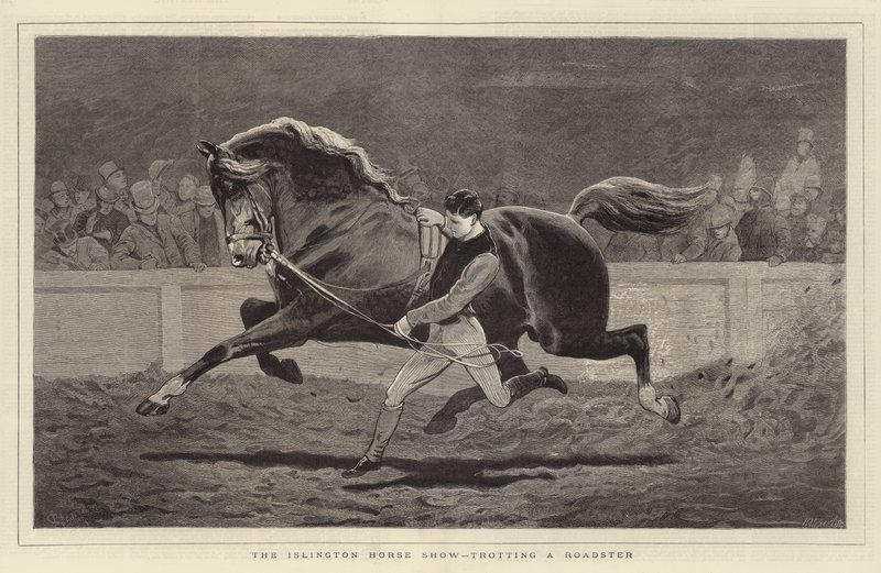 Exposición de Caballos de Islington, trotando un Roadster de John Charlton