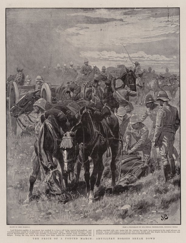 El Precio de una Marcha Forzada, Caballos de Artillería se Derrumban de John Charlton