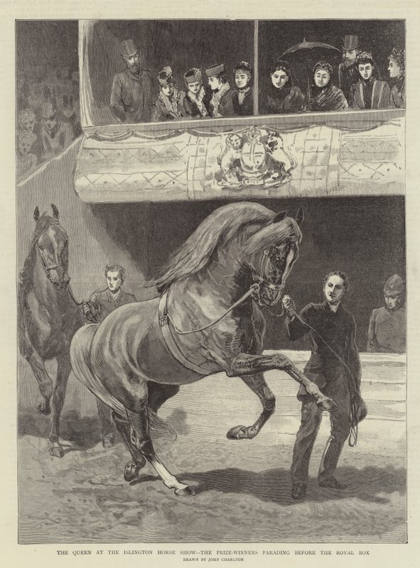 La Reina en el Show de Caballos de Islington, los ganadores desfilando frente a la Caja Real de John Charlton