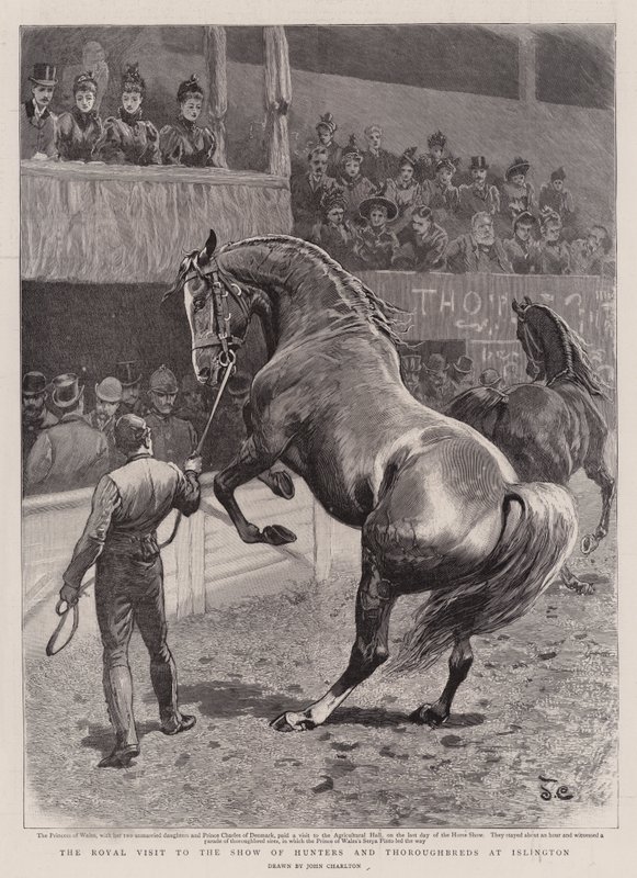 La Visita Real a la Exposición de Cazadores y Purasangres en Islington de John Charlton