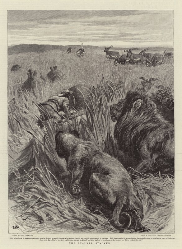 El acechador acechado de John Charlton