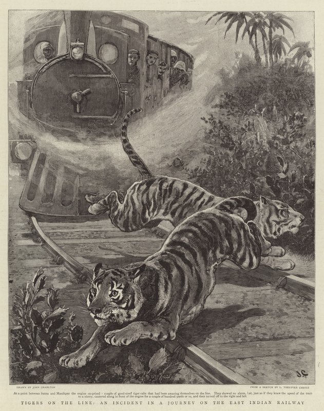 Tigres en la línea, un incidente en un viaje por el ferrocarril de la India Oriental de John Charlton