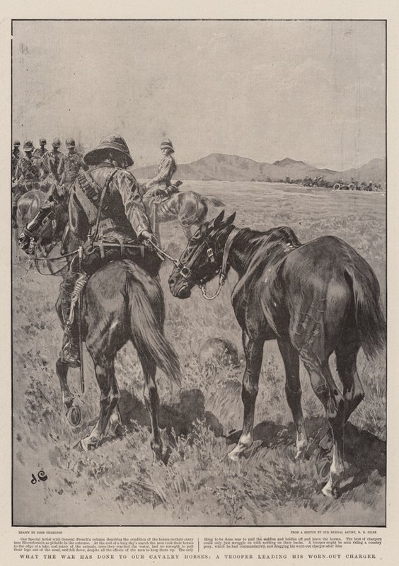 Lo que la guerra ha hecho a nuestros caballos de caballería, un soldado llevando a su caballo agotado de John Charlton