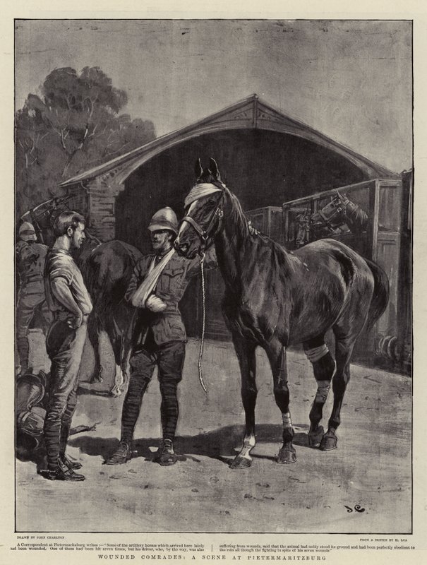 Camaradas heridos, una escena en Pietermaritzburg de John Charlton
