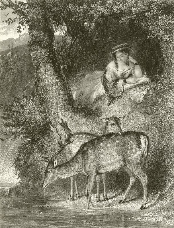 Soledad de montaña de John Corbould