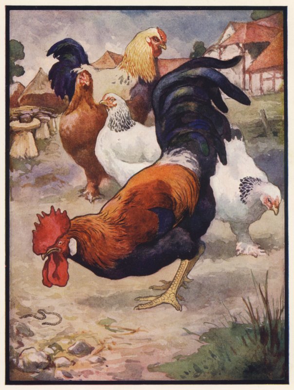 El gallo y la joya (litografía en color) de John Edwin Noble