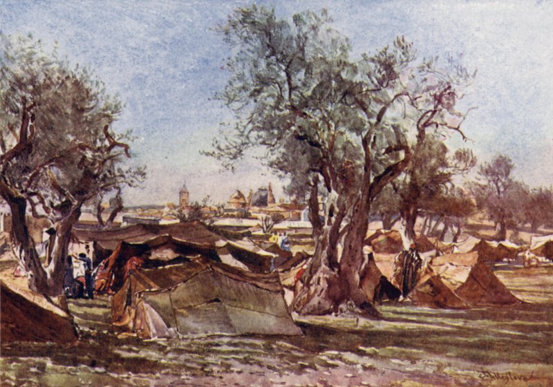 Campamento beduino fuera del muro norte de Jerusalén de John Fulleylove