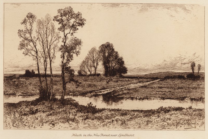 Heath en el New Forest, cerca de Lyndhurst (grabado) de John Fullwood
