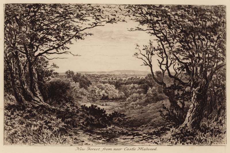 New Forest desde cerca de Castle Malwood (grabado) de John Fullwood