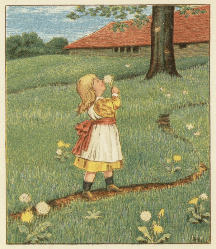 Semillas de diente de león (litografía en color) de John George (after) Sowerby