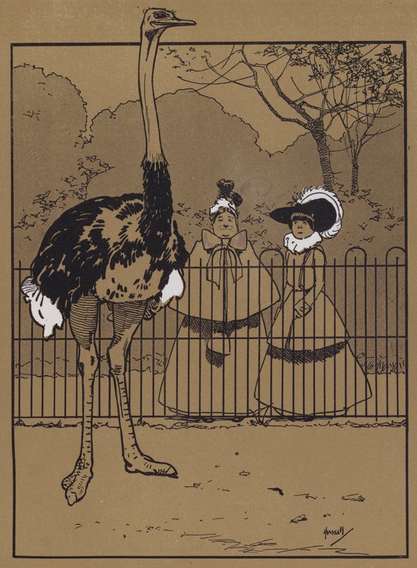 Plumas de avestruz (litografía en color) de John Hassall