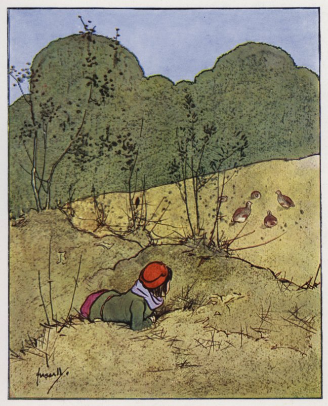 La perdiz (litografía en color) de John Hassall