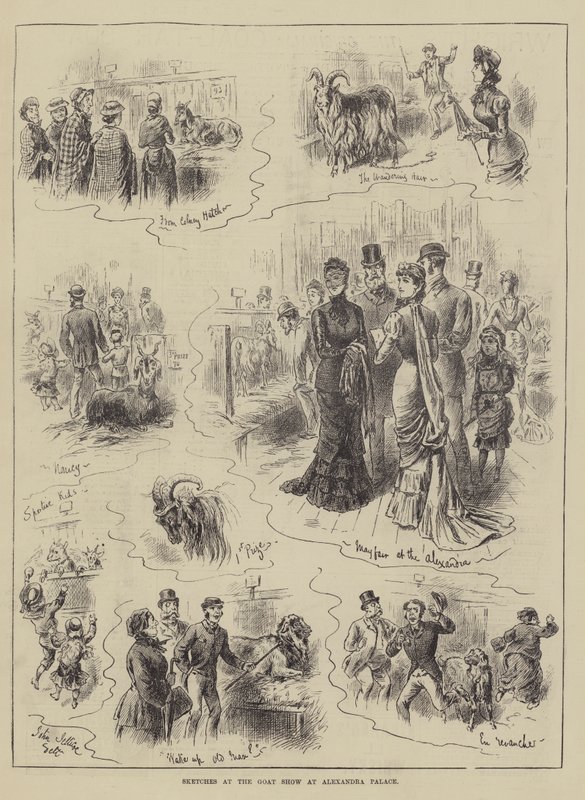 Bocetos en la Feria de Cabras en el Alexandra Palace de John Jellicoe